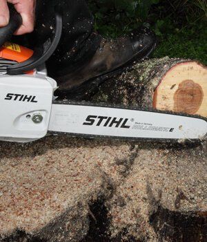 Blackwood Chainsaws Blackwood Chainsaws