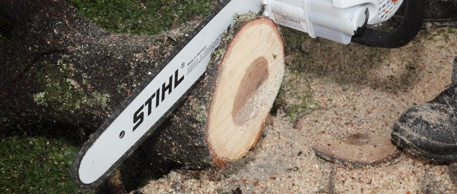 Blackwood Chainsaws Blackwood Chainsaws