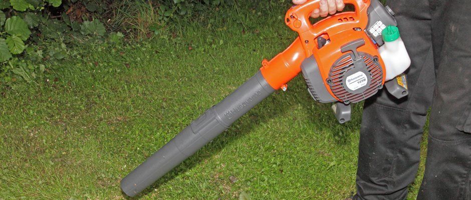 Blackwood Chainsaws Blackwood Chainsaws