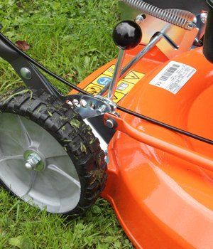 Blackwood Chainsaws