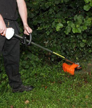 Blackwood Chainsaws Blackwood Chainsaws