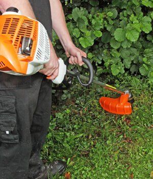 Blackwood Chainsaws Blackwood Chainsaws