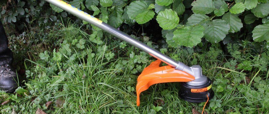Blackwood Chainsaws Blackwood Chainsaws