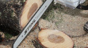 Blackwood Chainsaws Blackwood Chainsaws
