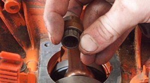 Blackwood Chainsaws Blackwood Chainsaws
