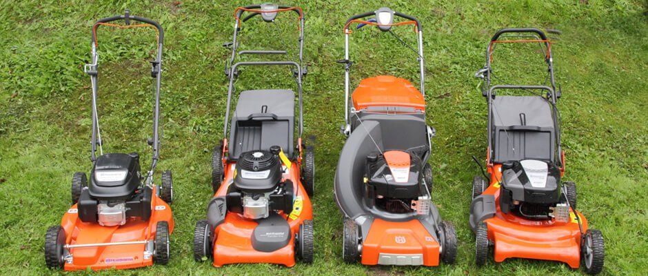 Blackwood Chainsaws Blackwood Chainsaws