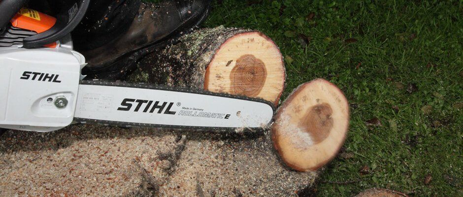 Blackwood Chainsaws Blackwood Chainsaws