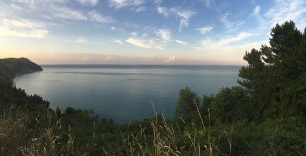 sea with forrest