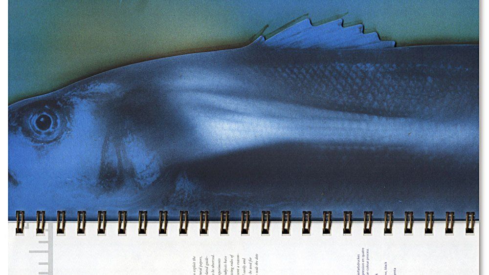 schmidt ideas, Jakarta, creative brand consultant,  Gmund Paper, The Naturals, paper promotion book