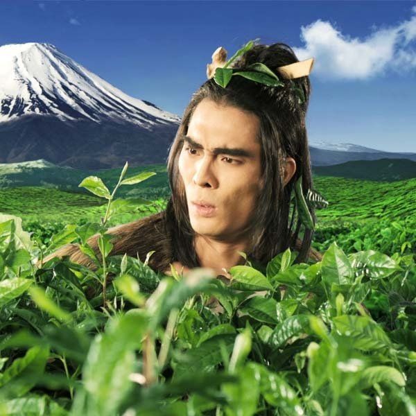 Ichi Ocha green tea