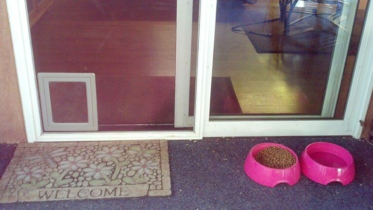 Doggy Door on Screen