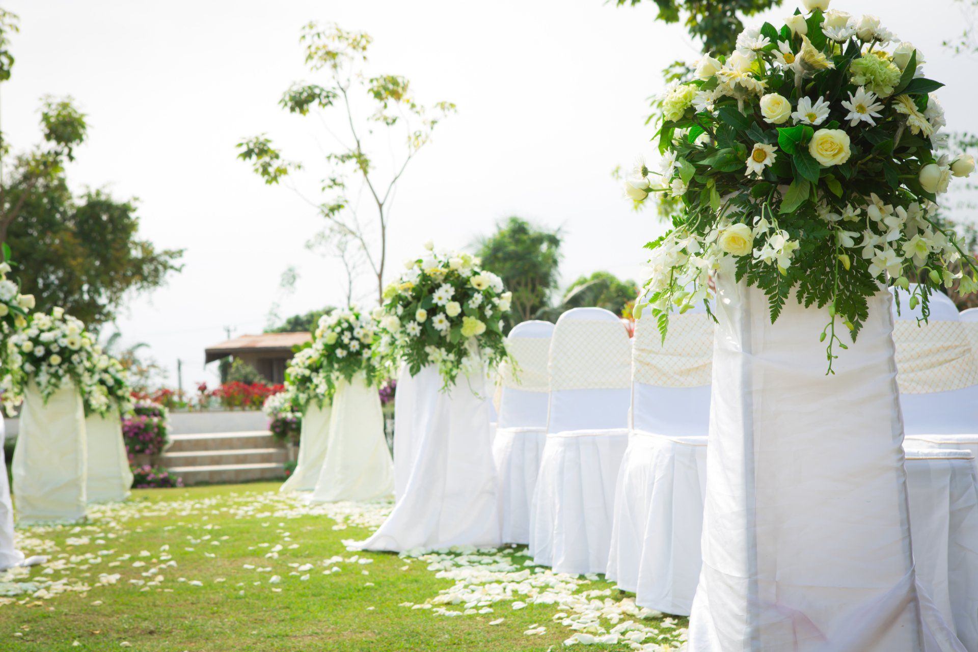 Wedding Officiant in Orange, NJ
