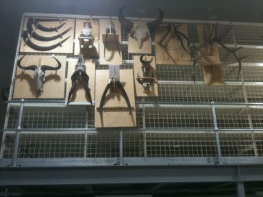 Storage solutions