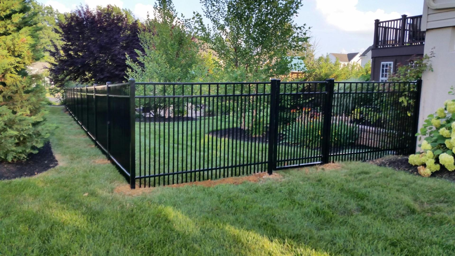 Black metal fence with a gate encloses a grassy backyard with trees.