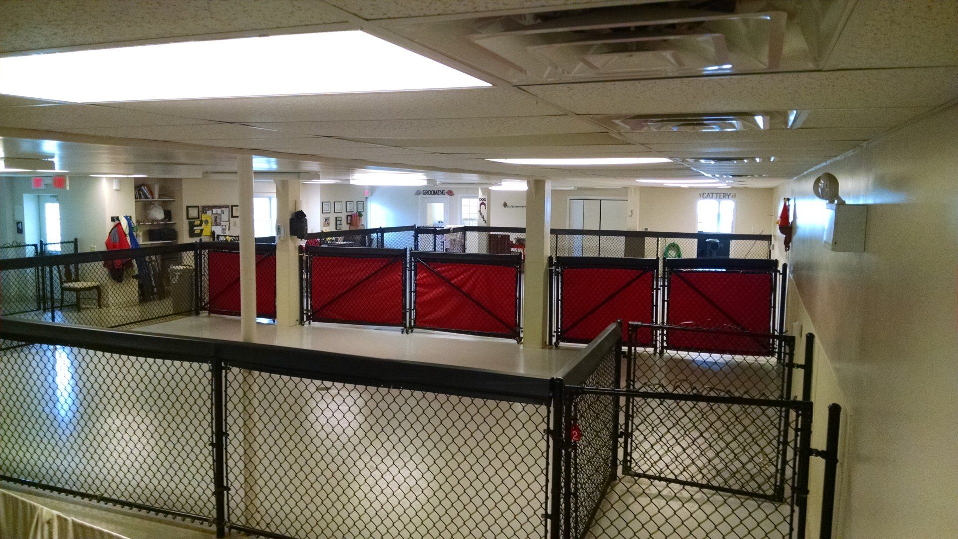 Interior view of a dog daycare with red doors, black fencing, and white walls.