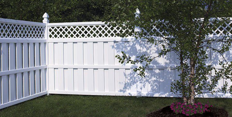 White vinyl fence with lattice top, surrounding a green yard and tree.