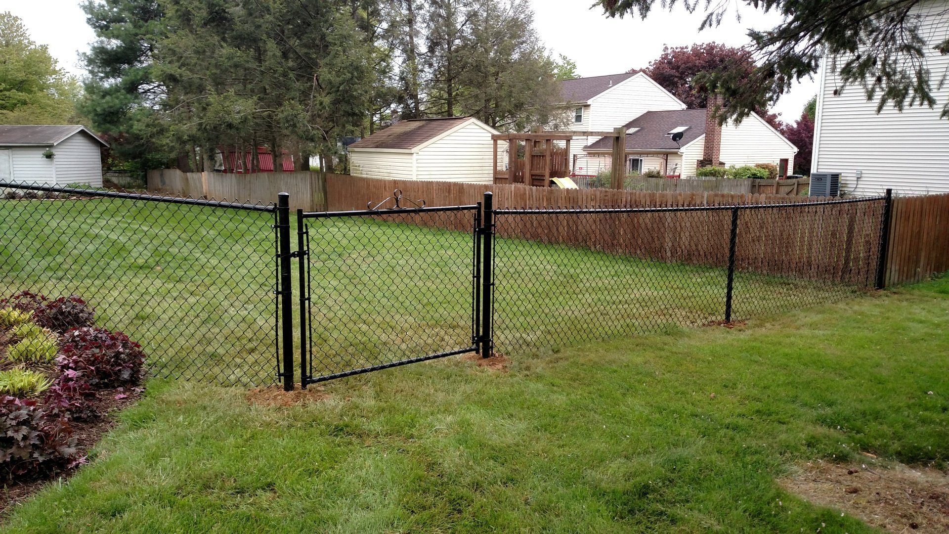Black chain-link fence and gate in a grassy backyard. Wooden fence and houses in the background.