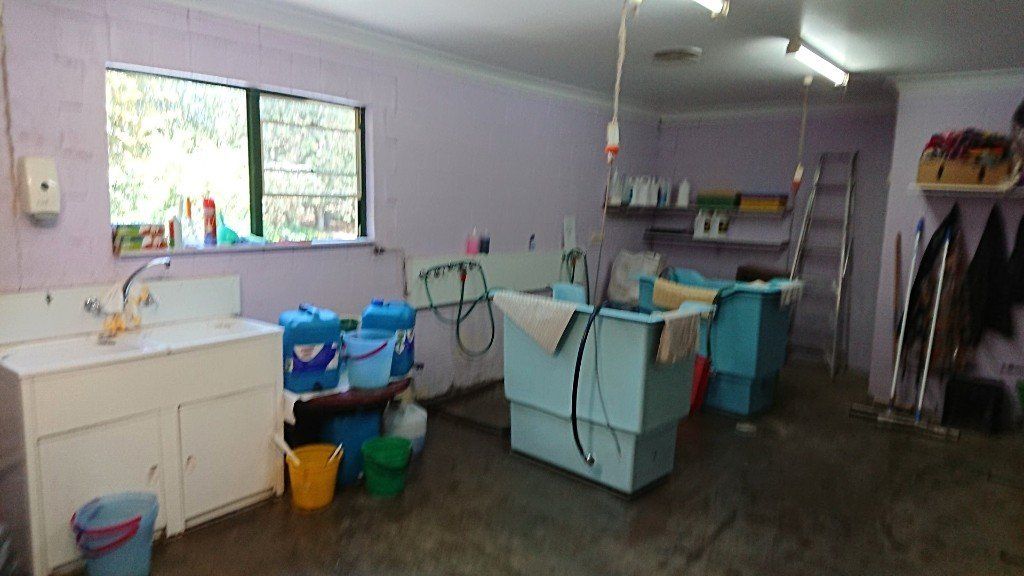 Pet Grooming Rate Grooming area for pets