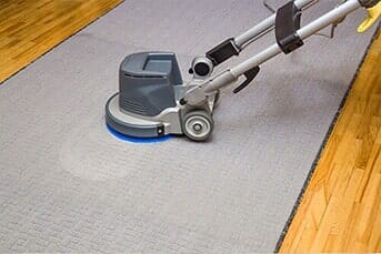 Carpet cleaner scrubbing a light gray rug on a wood floor.