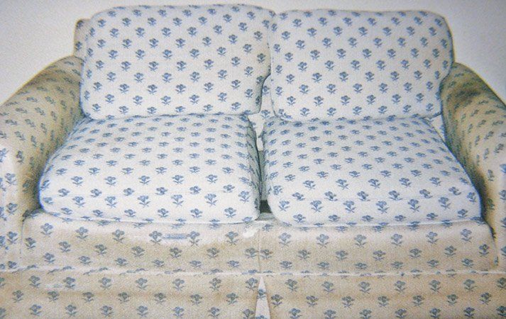 Upholstery Cleaning - Maintenance Services in Kendall Park, NJ