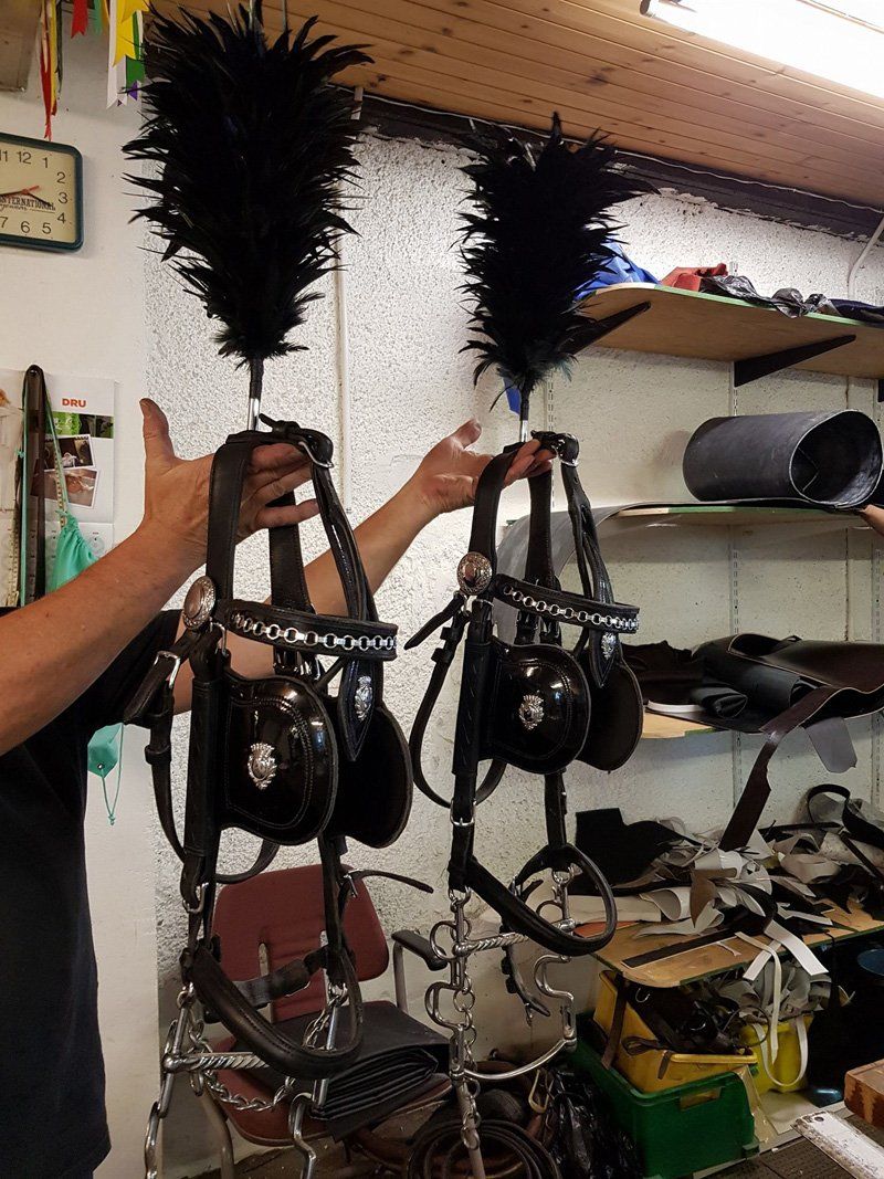 Horse equipment