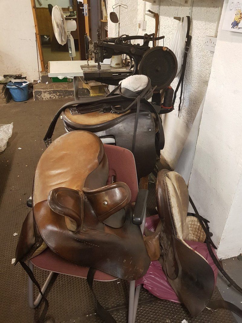 Horse equipment
