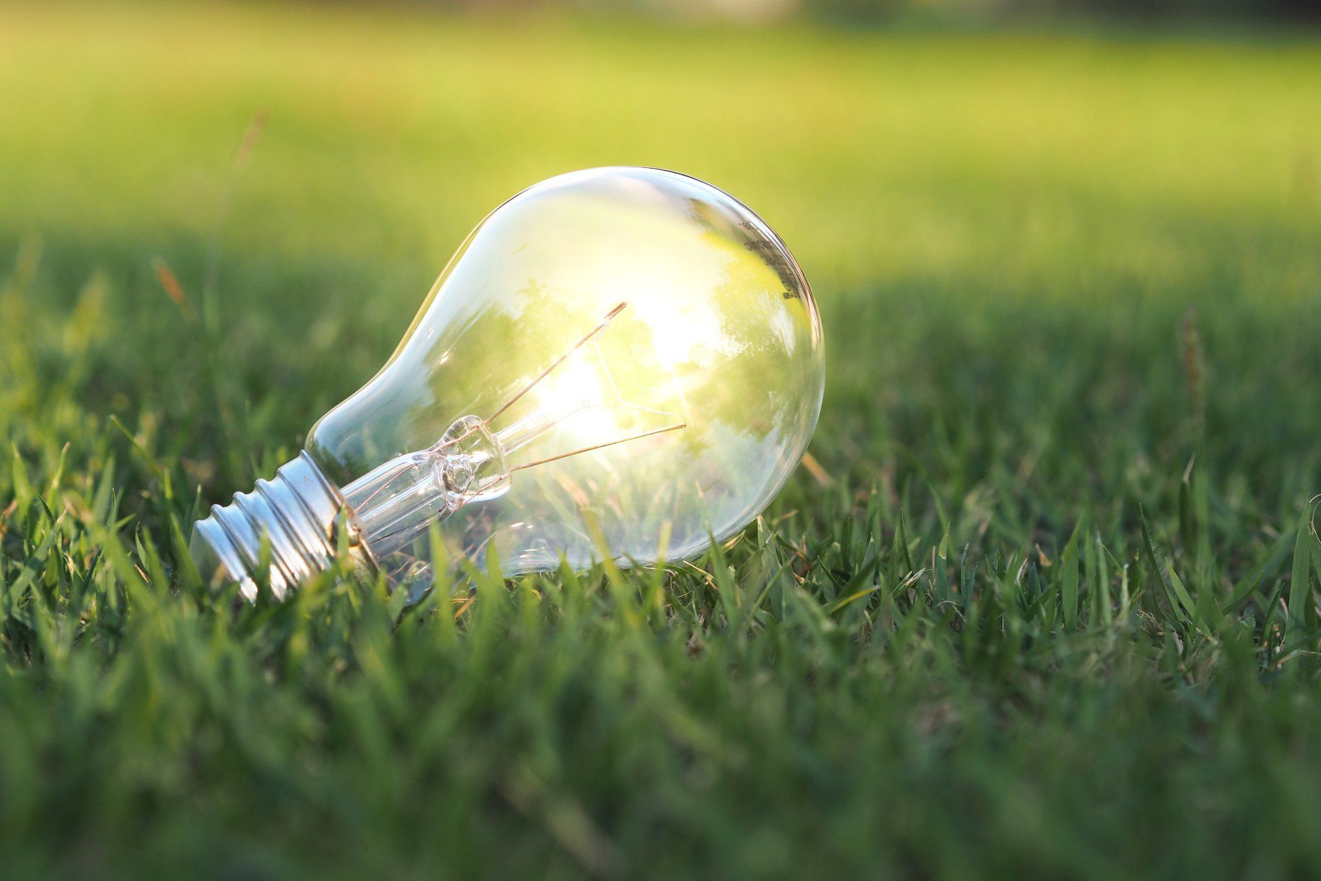 Sostenibilità