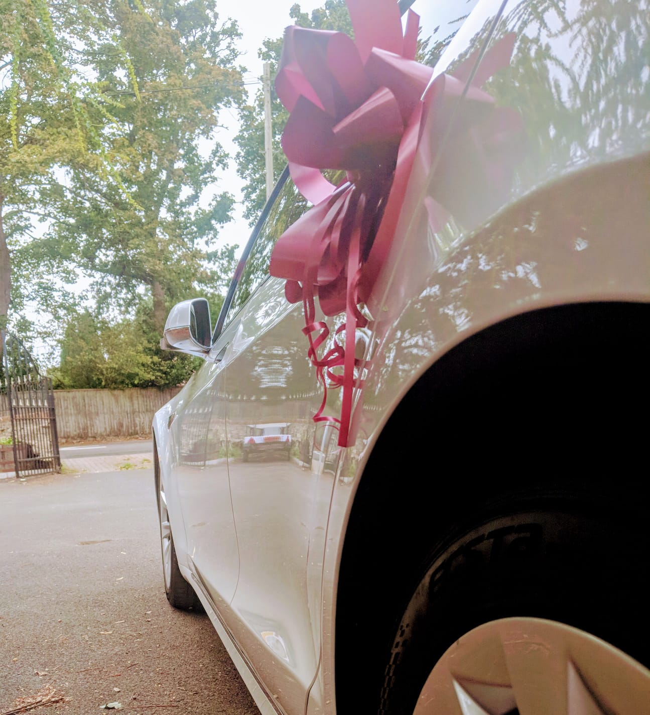 Tesla executive electric chauffeur