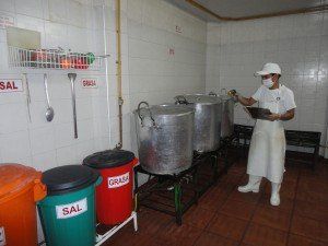 LECHONA Y TAMALES DOÑA ANA - Lechonas
