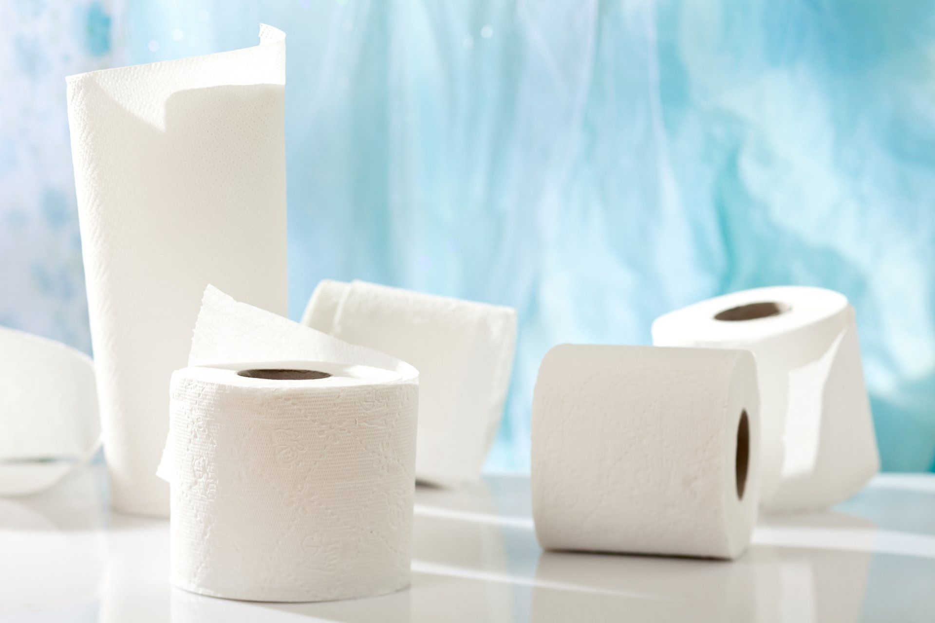 Paper Products in Calgary, AB