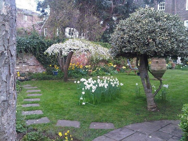 For garden design in Richmond call 07807 450 576
