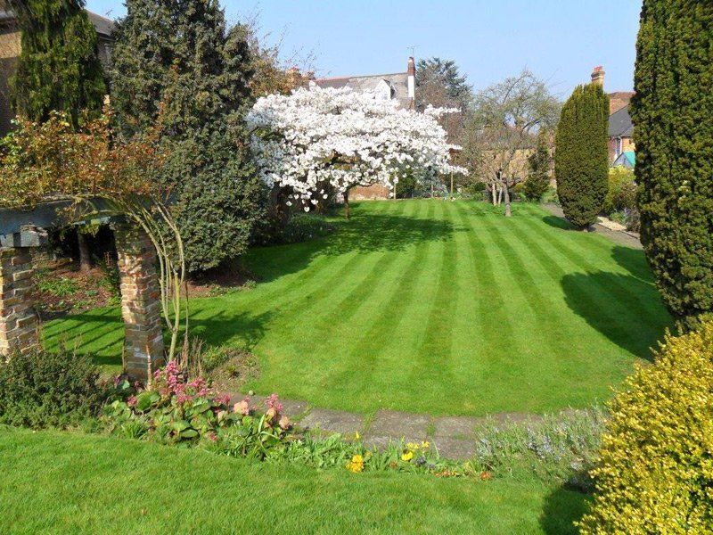 When you need a gardener in Richmond call 07807 450 576