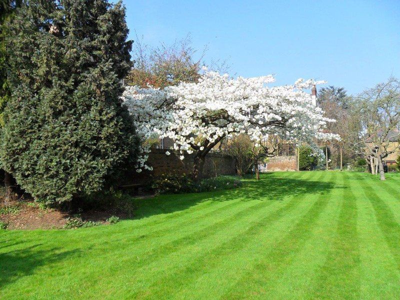 To find out more about landscape designs in Richmond call 07807 450 576