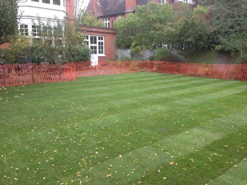 When you need a gardener in Richmond call 07807 450 576