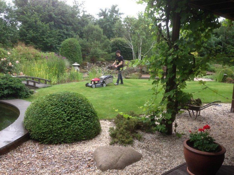 For landscape gardeners in Richmond call 07807 450 576