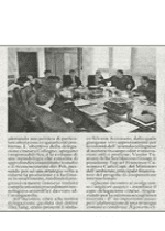 pdf pdf