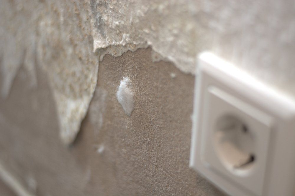 Know the signs of mold, including musty odors, to know when to hire a mold removal expert. - Restoration 1 of Tuscaloosa