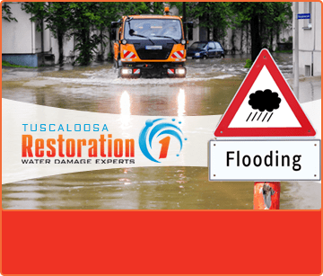Restoration 1 of Tuscaloosa Flooding