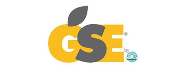 GSE - LOGO