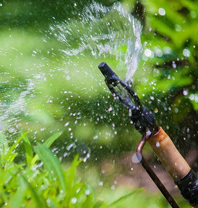 Sprinkler Head Adjustment — Sprinkler Maintenance in Everett, WA Sprinkler Head Adjustment — Sprinkler Maintenance in Everett, WA