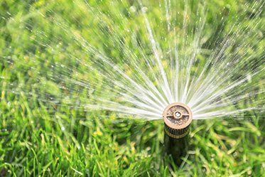 Metal Sprinkler — Irrigation Systems in Everett, WA Metal Sprinkler — Irrigation Systems in Everett, WA