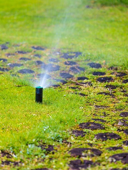 Garden Sprinkler — Irrigation Systems in Everett, WA Garden Sprinkler — Irrigation Systems in Everett, WA