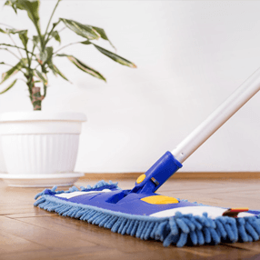 floor cleaning