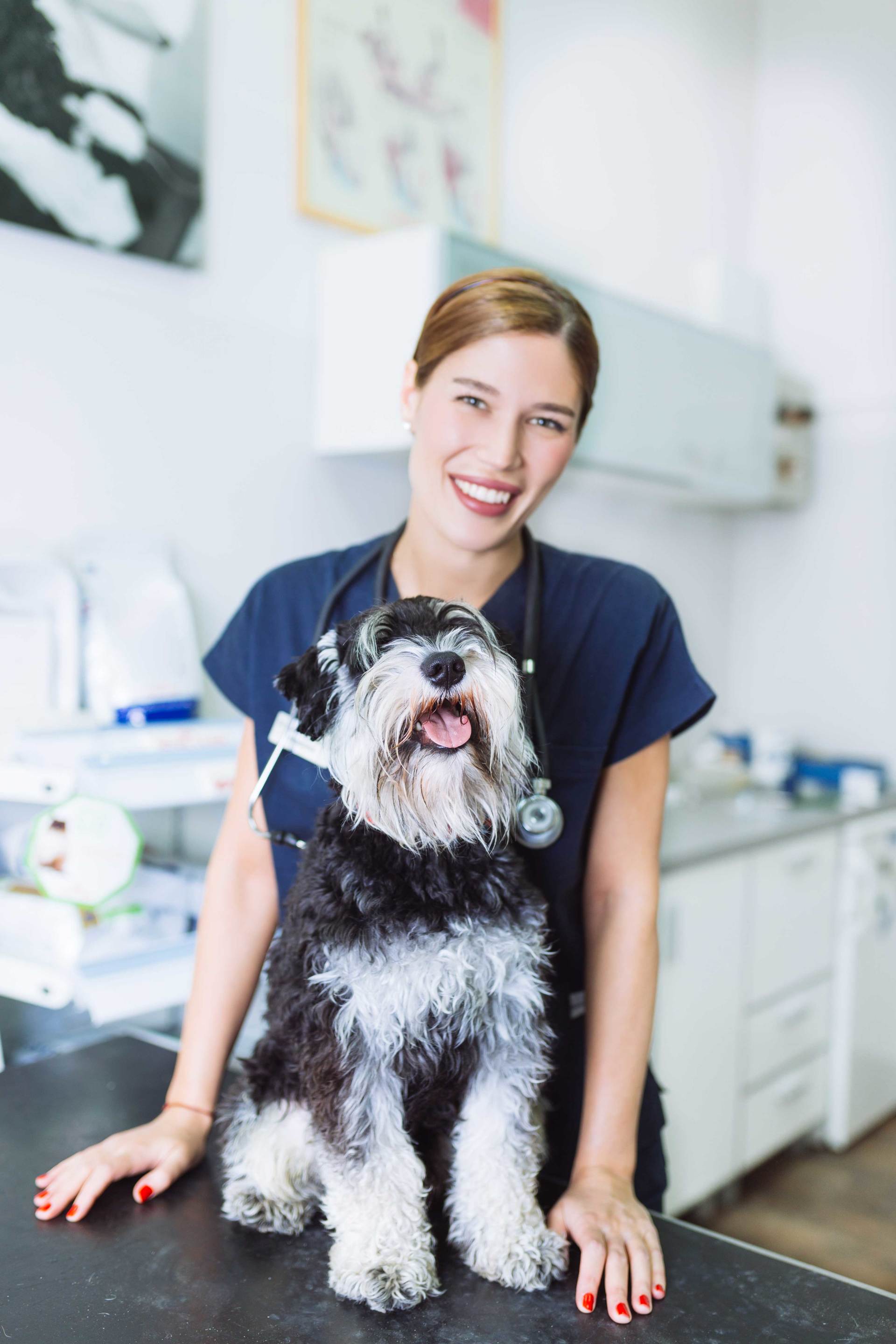 Vet — Lady Veterinarian With A Patient Dog In Westland, MI Vet — Lady Veterinarian With A Patient Dog In Westland, MI