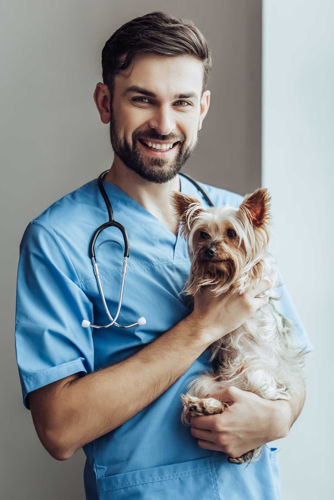 Boarding — Doctor Carrying A Small Dog At Clinic In Westland, MI Boarding — Doctor Carrying A Small Dog At Clinic In Westland, MI
