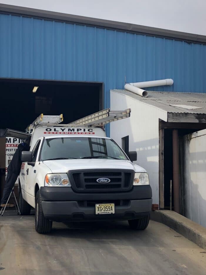 Olympic Pest Service — Licensed Exterminators in Parlin, NJ Olympic Pest Service — Licensed Exterminators in Parlin, NJ