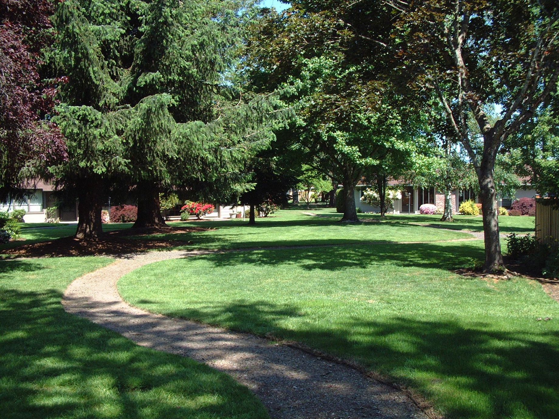 A path going through a lush green park surrounded by trees