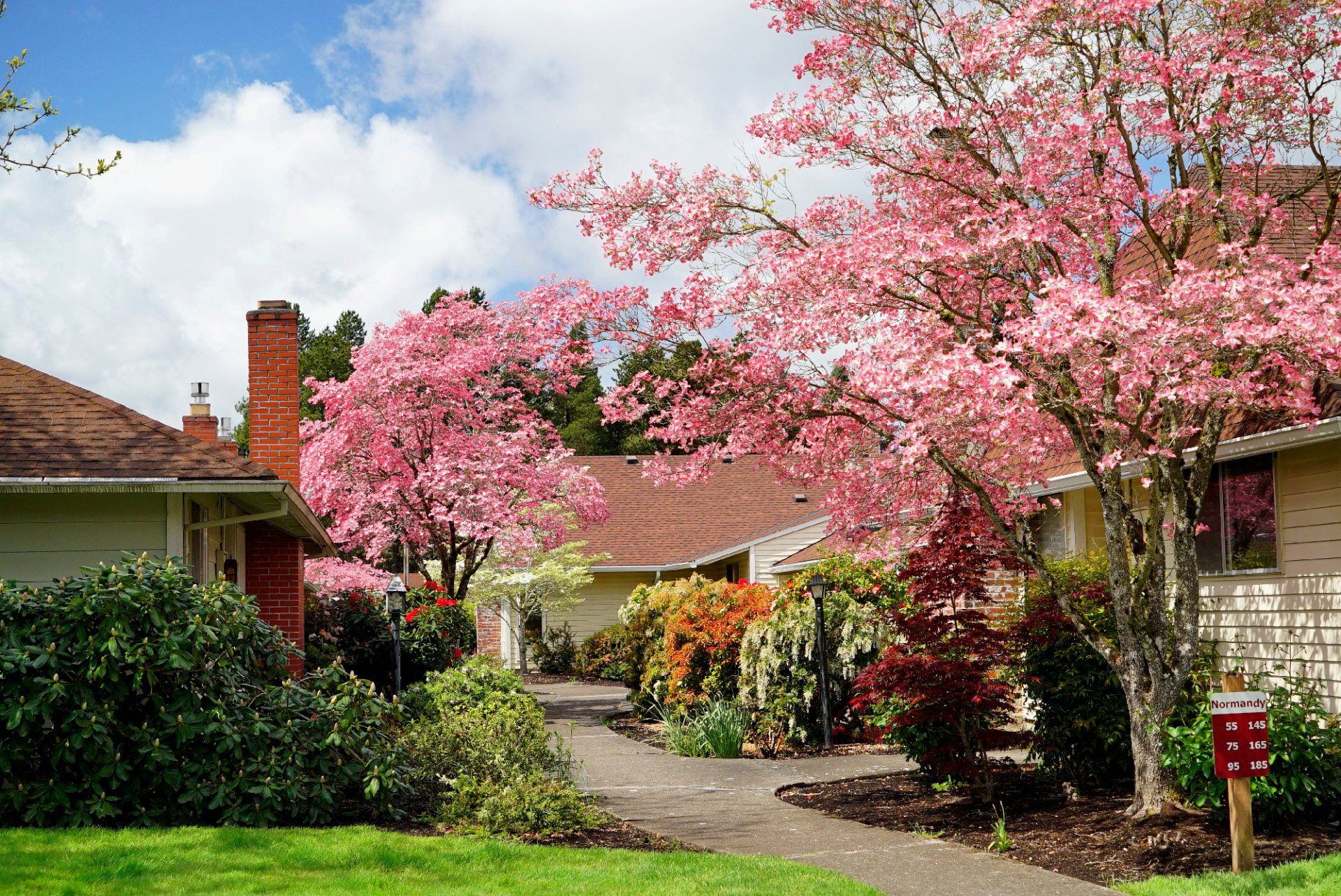 A mailbox in front of a house with pink flowers