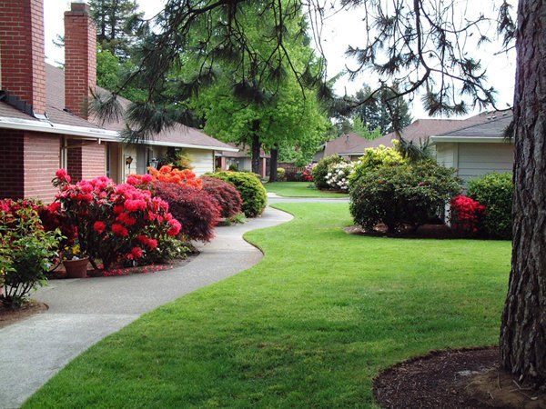 A residential area with a lush green lawn and flowers