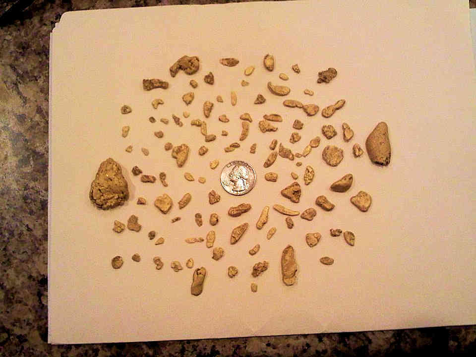Actual Gold Nuggets from our Placer Gold Claims in Humboldt County near Winnemucca in Northern Nevada.